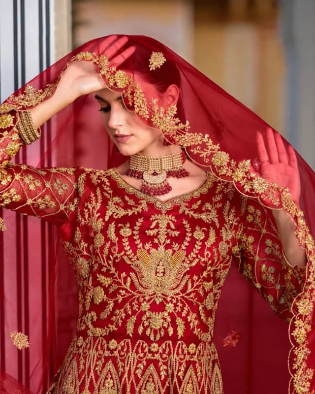 Mehbooba Royal Net Gown