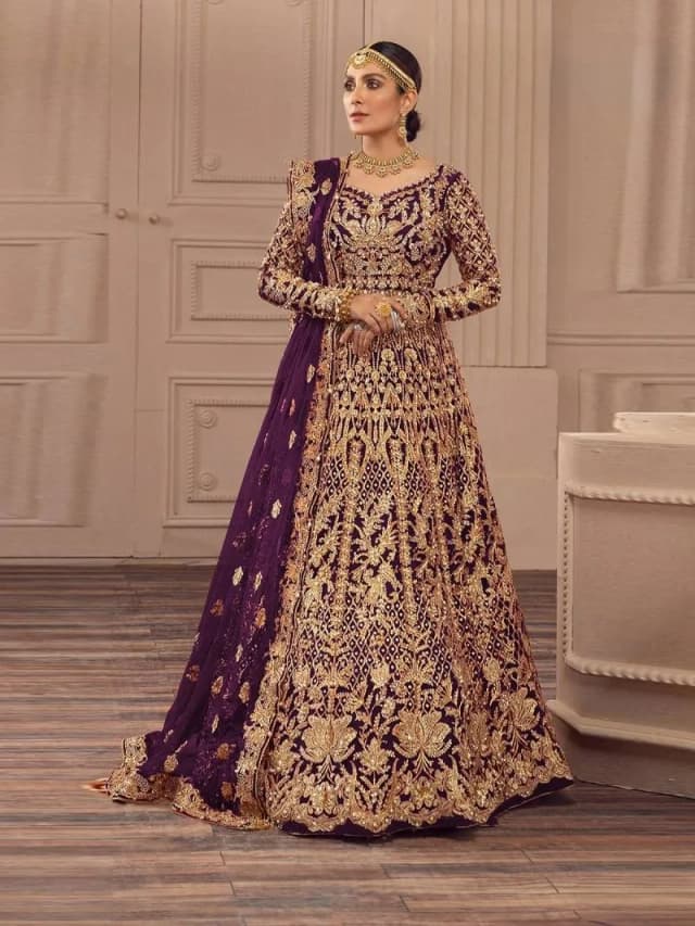 Noor Mahal Net Gown